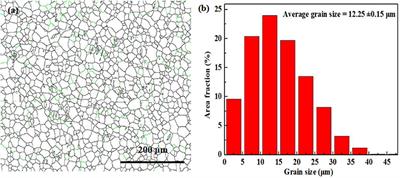 Microstructural Characteristics and Mechanical Properties of a Novel Extruded Dilute Mg–Sn–Mn–Ca Alloy